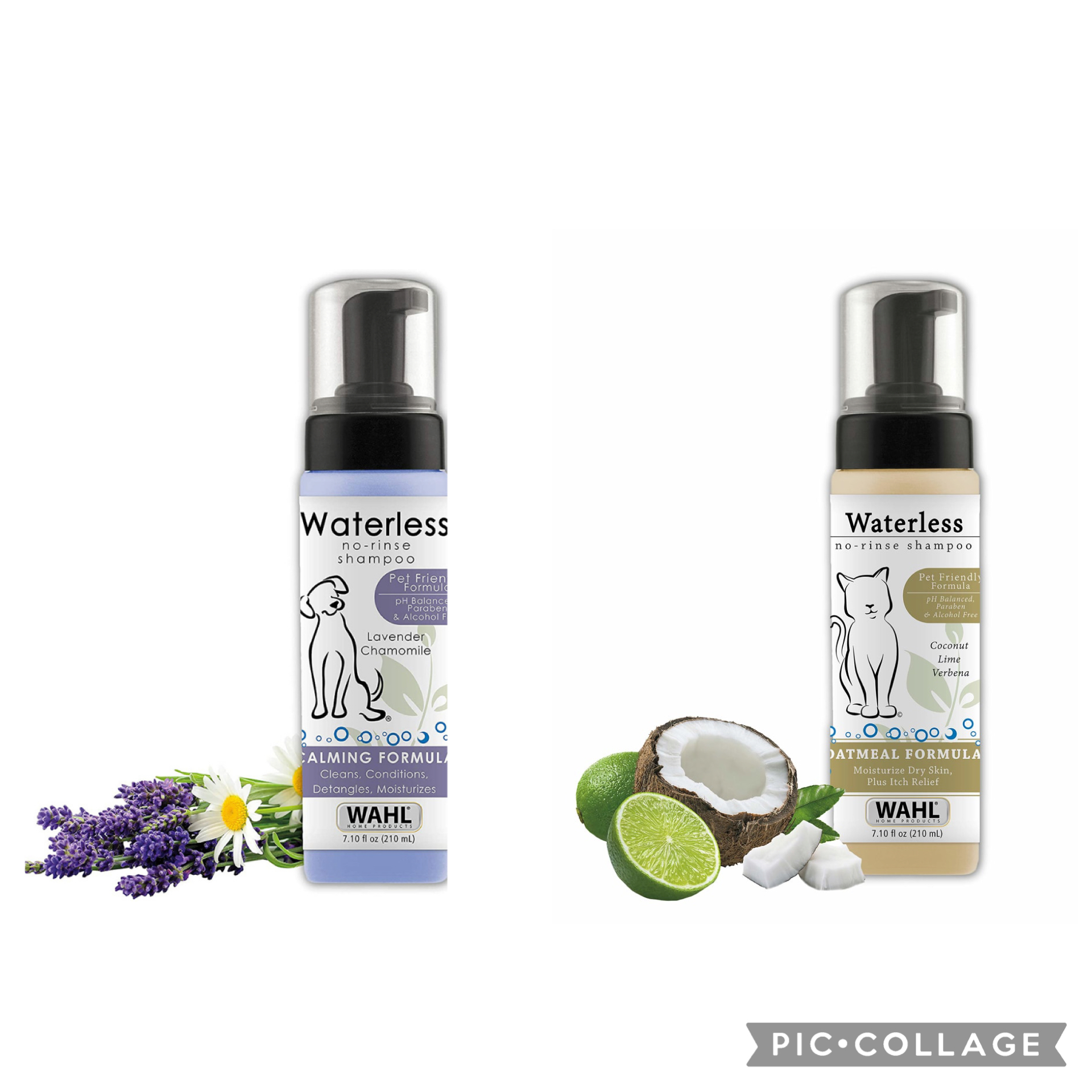 Shampoo Seco Pet Wahl 210ml Unidade