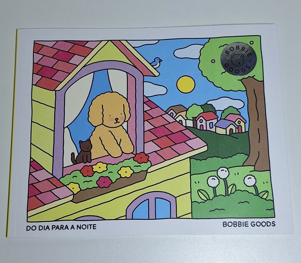 Livro Bobbie Goods do Dia para a Noite