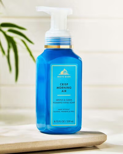 Foaming Hand Soap Bbw Crisp Morning 259ml